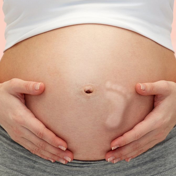 5 месяц беременности: УЗИ, определение пола и рекомендации