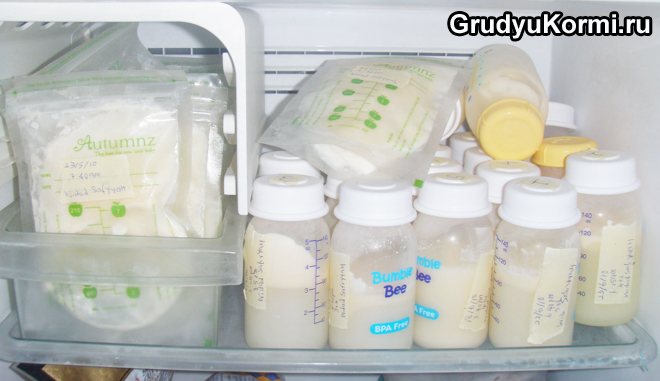 Бутылочки с молоком в холодильнике