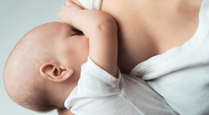 Persimmon for breastfeeding