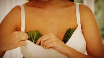 How to properly apply cabbage leaf for lactostasis