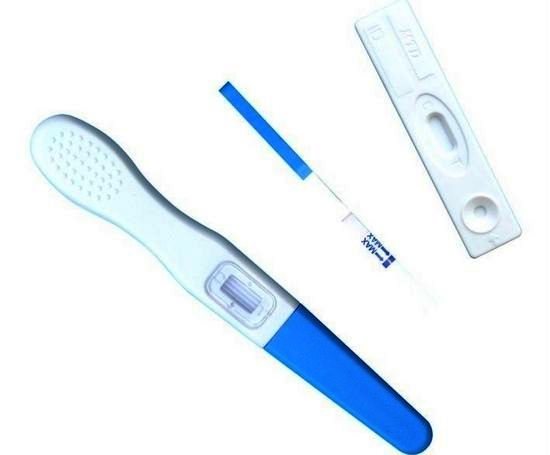 How does a pregnancy test work?