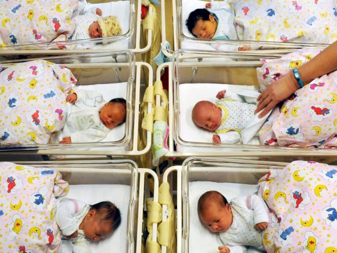 Babies in the maternity hospital