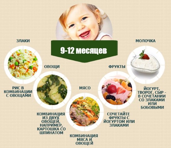 Menu for an 11 month old baby every day. Table, recipes for artificial, breastfeeding 