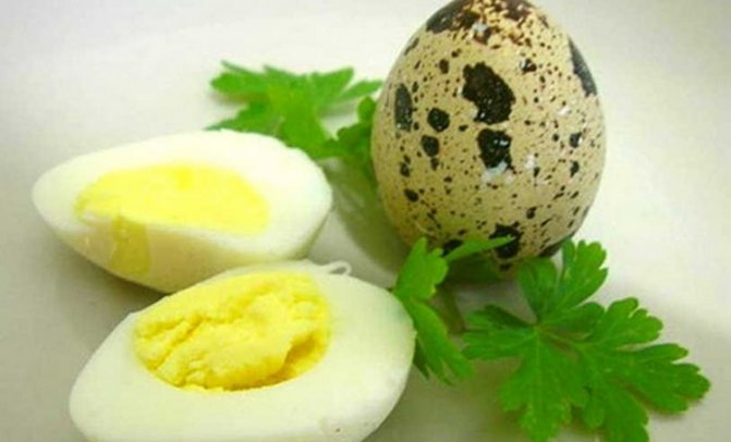 Как проверить свежесть перепелиных яиц. Перепелиные яйца всмятку. Яйцо перепелиное домашнее. Свежесть перепелиных яиц. Мойка перепелиных яиц.
