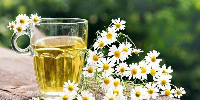 Chamomile decoction in a cup