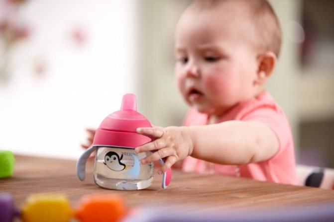There are many types of sippy cups