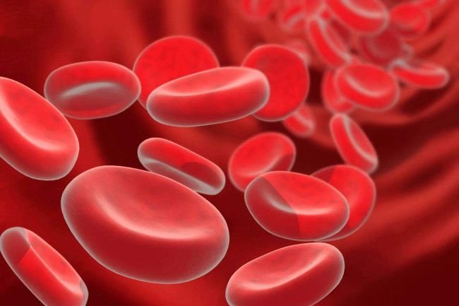 increased platelet levels in the blood of a newborn: causes