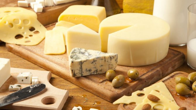 разные виды сыра на столе