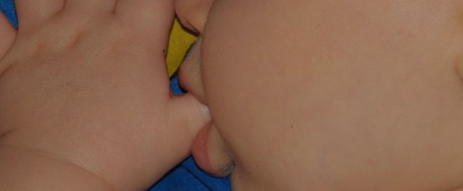 sucking reflex in a newborn