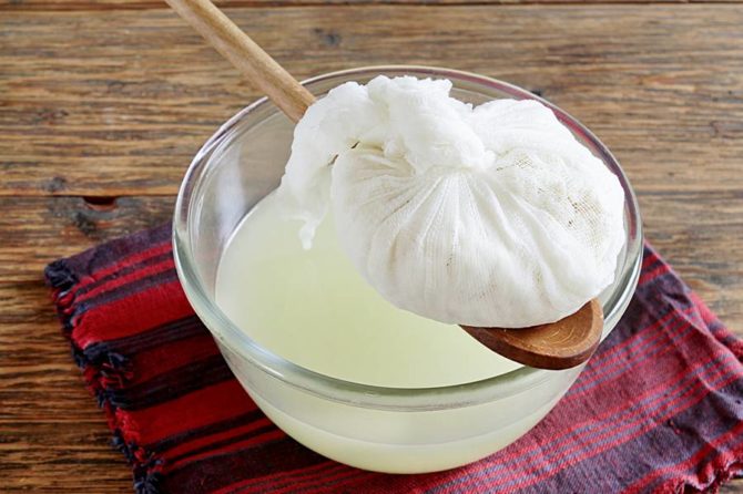 cottage cheese at home